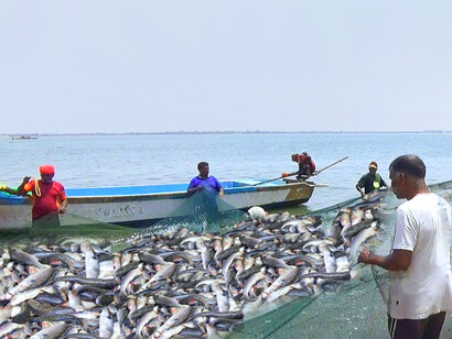 Small-scale fishing activities provide the protein source for so many, but are being destroyed by large-scale corporations