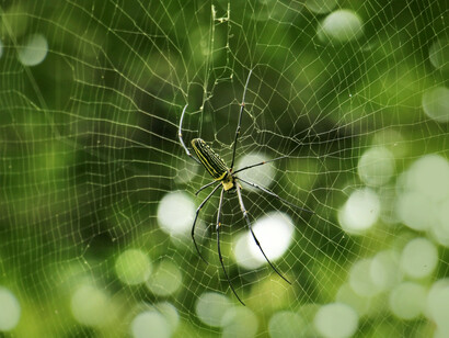 Somos 7,890 millones de habitantes el 48% utiliza las redes sociales