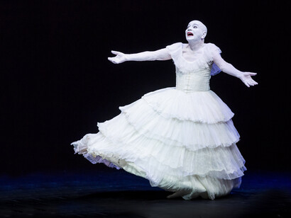 Ricordi di una Traviata