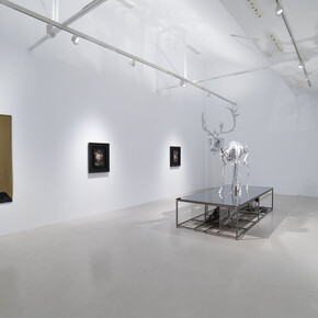 Mat Collishaw, Vivisystem, exhibition view. Courtesy of Hilario Galguera Gallery