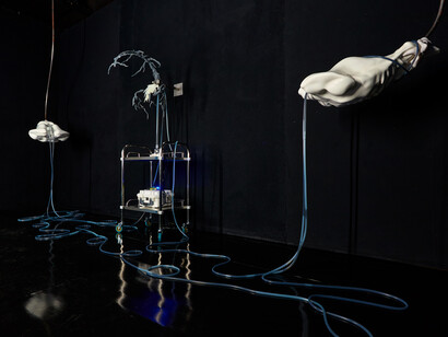 Kiss Balázs Ágoston: Szerzet no. 2, poszt-hálózat, 2025 ® David Biro