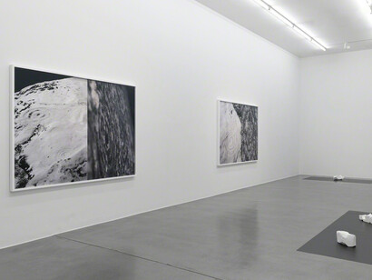 Josephine Pryde. Courtesy of Simon Lee Gallery