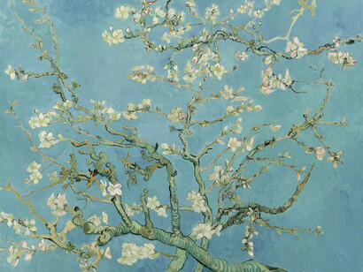 Vincent van Gogh, Almond blossom (detail), 1890. Courtesy of Van Gogh Museum (Vincent van Gogh Foundation)