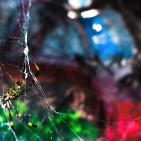 Please let me... Courtesy of nca | nichido contemporary art