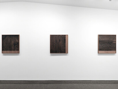Facing Grain. Courtesy of Krakow Witkin Gallery