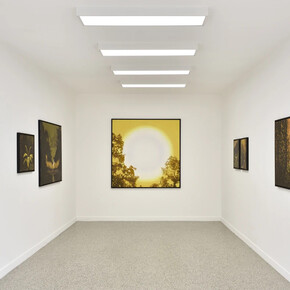 Bruno Gadenne, Eldorado, exhibition view. Courtesy of Prima Gallery