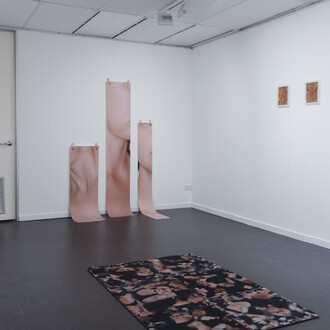 Annabelle McEwen, Virtual gaze, exhibition view. Courtesy of Photo access