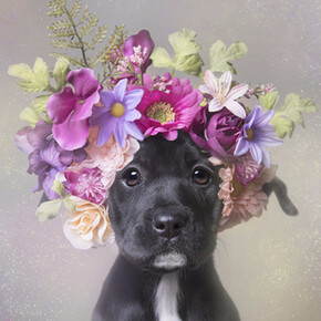 Flower Power. Courtesy of Russell Collection