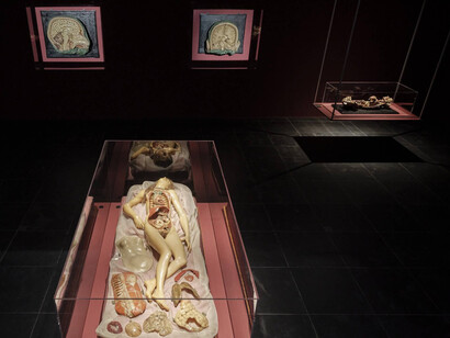 Various artists, Anatomy of fragility – Body images in art and science, exhibition view. Courtesy of Frankfurter Kunstverein