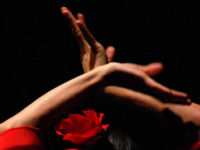 Flamenco