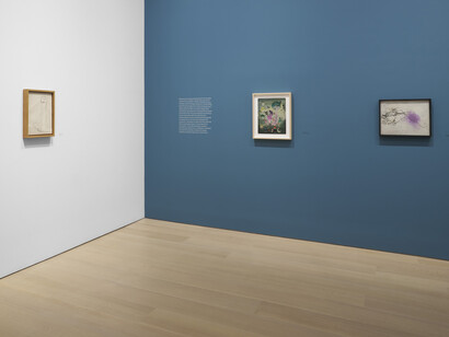 Antoni Tàpies, On paper, exhibition view. Courtesy of Pace Gallery