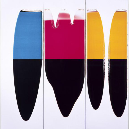 The Polaroid Project. Courtesy of Amon Carter Museum of American Art