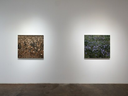 Paul Manes, Into the weeds, exhibition view. Courtesy of Cris Worley Fine Arts