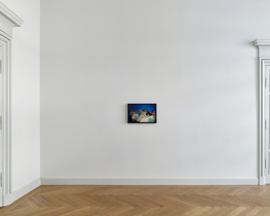 Pedro Cabrita Reis, Nan Goldin, Justin Matherly. Courtesy of Kewenig