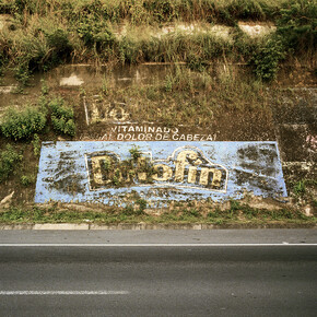 Rubens Mano, Natureza privada (d), 2014, photography / 113 x 123 cm