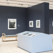 Richard Avedon, Among creatives, exhibition view. Courtesy of the Phoenix Art Museum