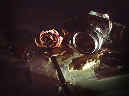 Antigua cámara de fotografía junto a una rosa marchita