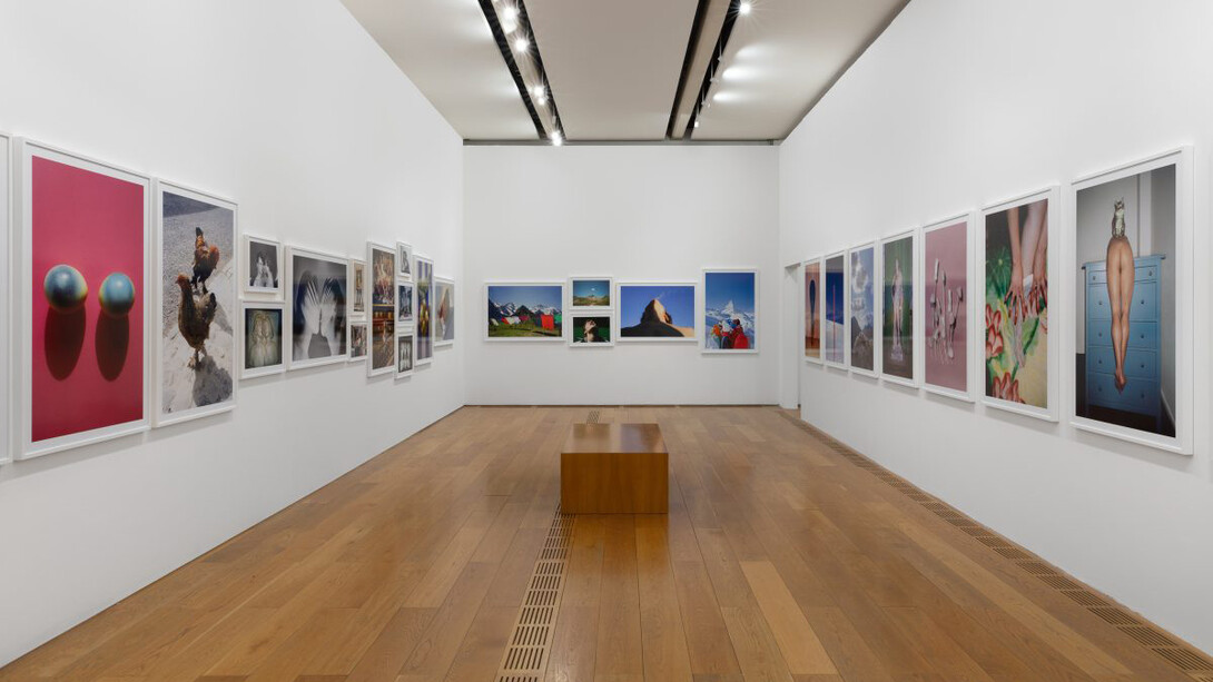 Walter Pfeiffer, In good company, exhibition view. Courtesy of Pinacoteca Agnelli