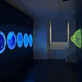 Katja Loher, Why Do The Waves Repeat the Questions I Ask Them? The Plankton Manifesto, installation at LatchKey Gallery. Courtesy the artist and LatchKey Gallery, NYC