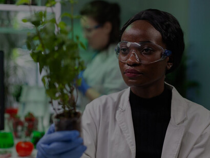 An African American female biochemist researcher conducts experiments on genetically modified saplings and GMO green plants in a hospital laboratory, contributing to microbiological advancements