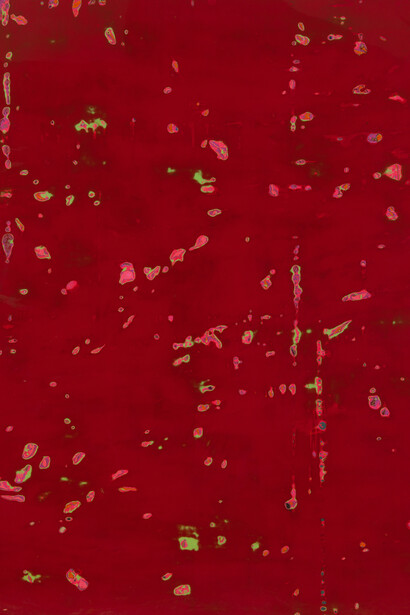 Barcilon, 2015, pure pigments and varnish on wood, 153x200cm. Detail
