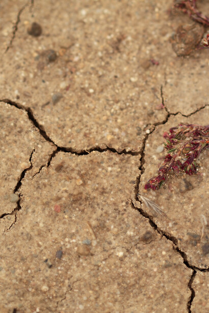 Consumo di suolo e desertificazione