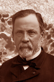 Louis Pasteur. N’a-t-il pas cette fois présumé de sa science, lui qui commence pourtant à avoir l’habitude de prendre des risques ? 