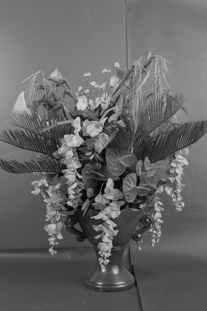 Pao Houa Her, Untitled (from the series My mother’s flowers), 2016. Courtesy of Dreamsong Gallery