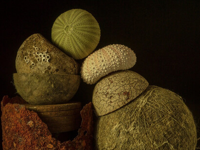 From the Ground Up 2.0. Courtesy of Soho Photo Gallery