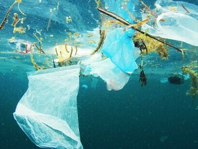 Il miglioramento della qualità della vita è strettamente legato al rispetto dell'ambiente
