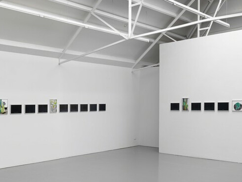 Loved an Image. Courtesy of the artist, Isabella Bortolozzi, Berlin and Galerie Fons Welters, Amsterdam.