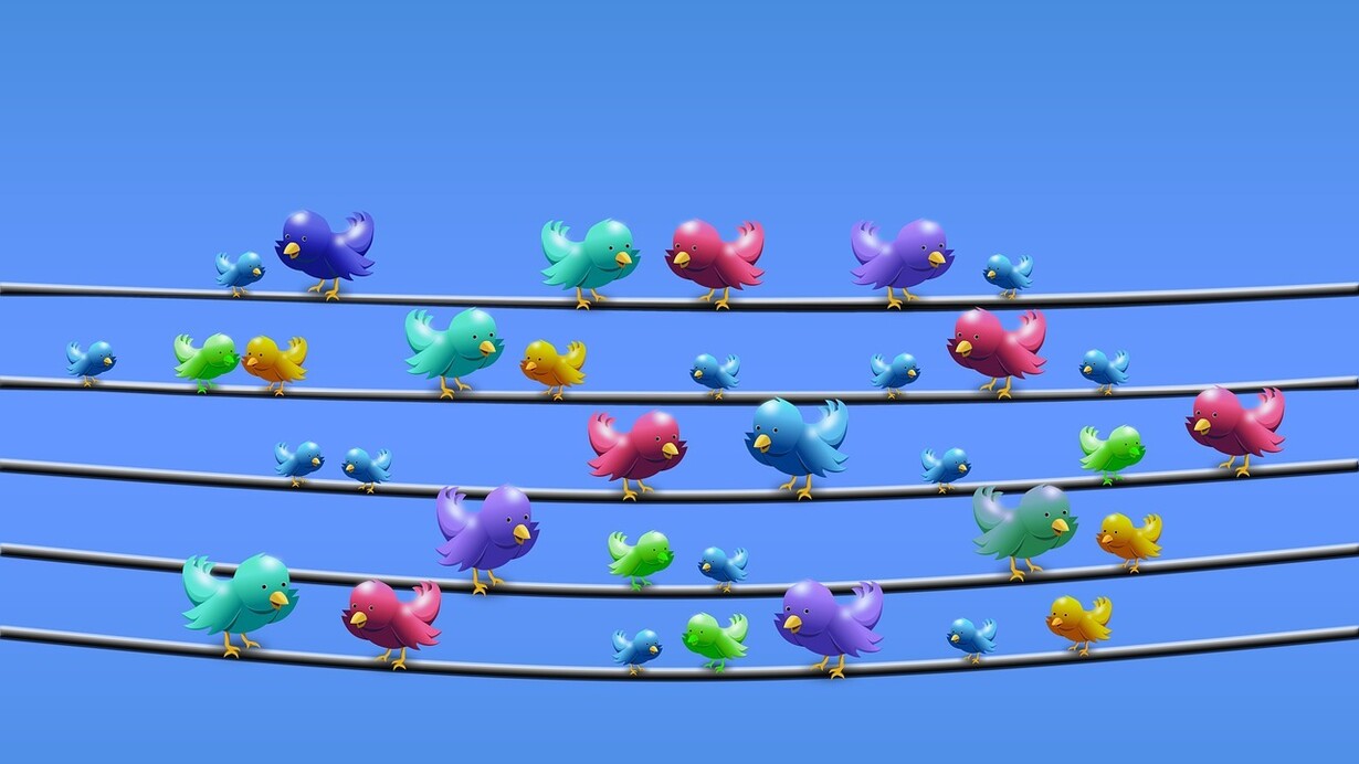 Alegres pájaros en los cables eléctricos