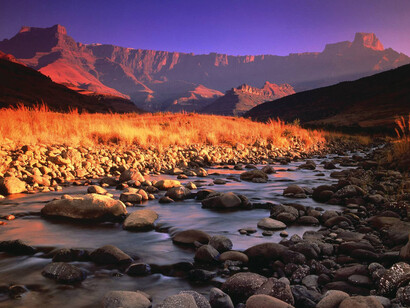 African Landscape