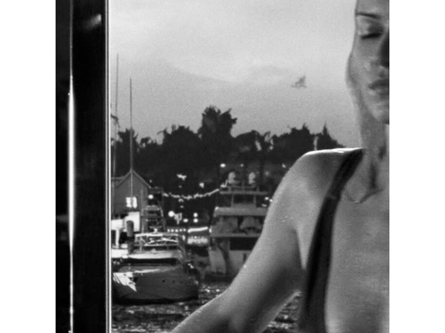 Taryn Simon, Bahamas (detail); 00:19:45 Nassau, Bahamas. 2006, Birds of the West Indies, 2014 © Taryn Simon, 2014. Courtesy of the artist and Almine Rech Gallery