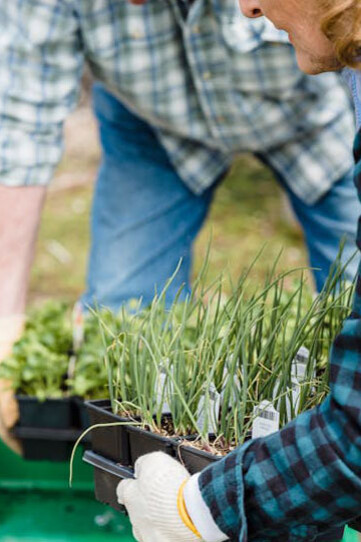 La reciprocidad trata de mantener el equilibrio de la vida en distintos niveles o ámbitos, desde el individual hasta lo colectivo
