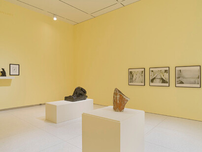 The Hysterical Material. Courtesy of Smart Museum of Art