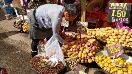 Mujer comprando papas en el Mercado Modelo de Huancayo, Perú
