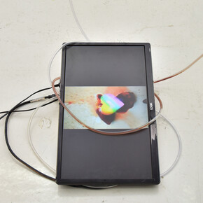 Alice Morey. Courtesy of The Ryder Projects