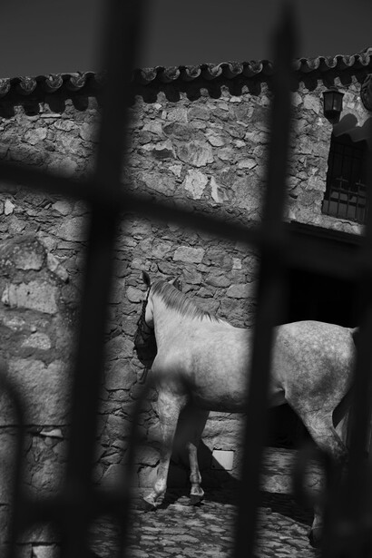 Lo Alvaro, Sevilla, Spain, 2010. © Peter Lindbergh. Courtesy Gagosian Gallery