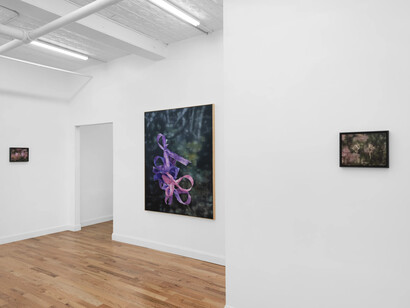 Martina Grlić, Memory projects, exhibition view. Courtesy of Fragment Gallery