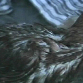 Zhang Peili. Courtesy of S.M.A.K.