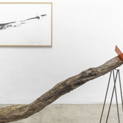 Marcelo Viquez. Courtesy of Kewenig Galerie