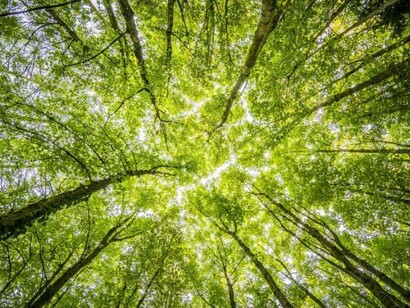 The urge for higher sustainability in economic, environmental and social aspects of development requires stronger involvement of all members of society in developing solutions