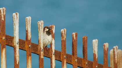 The prescribed measure of lockdown helps reduce deaths