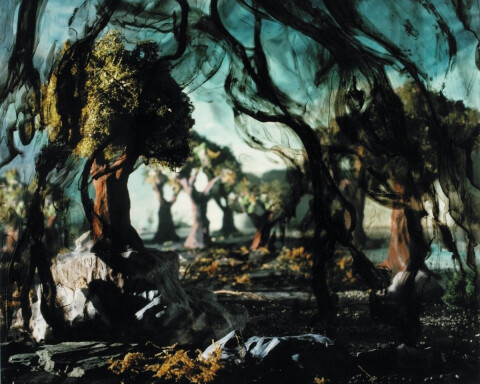Holly King, La forêt voilée, 1997