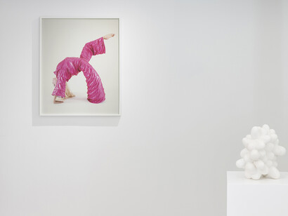 Ana Laura Aláez, Snowfall with saliva, exhibition view. Courtesy of the Ryder Projects