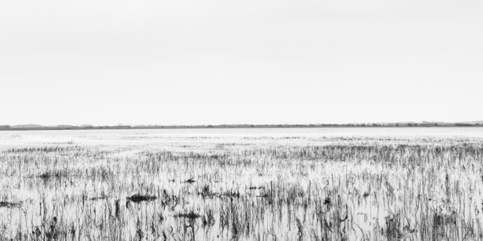 Eric Pillot. Courtesy of Galerie Dumonteil