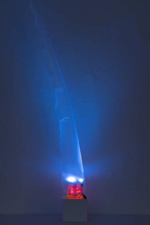 Incubate. Courtesy of Ronald Feldman Fine Arts