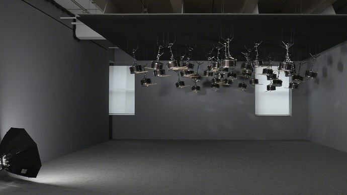 Anri Sala. Courtesy of Marian Goodman Gallery