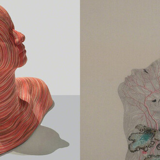 Reflections. Courtesy of Puerta Roja